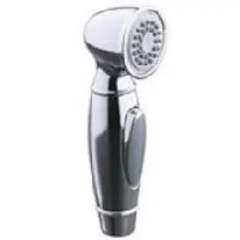 Polished Jet Spray Faucet